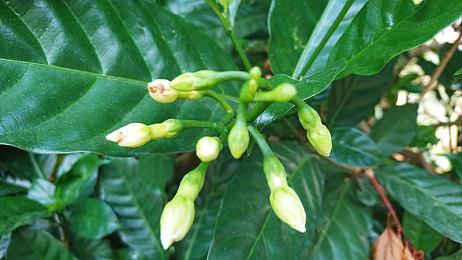 R星前员工透露《GTA6》新细节 地图巨大内容丰富