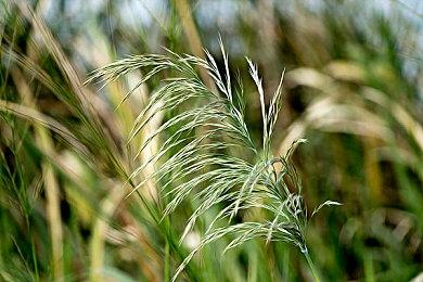 全球电子竞技市场收入统计与预测结果出炉：中国第一