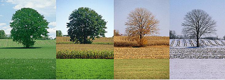 RPG《被虐的诺艾尔》7月26日登录Xbox One